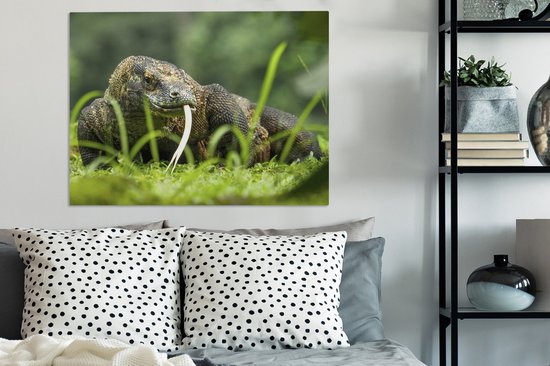 Tableau sur toile Dragon de Komodo se promenant - 80x60 cm - Décoration murale
