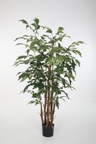 Ficus elastica - rubberboom - kunstplant - topkwaliteit plant - kamerplant - 150 cm hoog