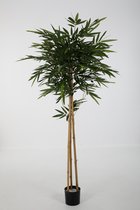 Bamboe kunstplant - topkwaliteit plant - kantoorplant - 185 cm hoog