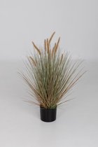 kunstplant - Kamgras - Cynosurys cistatus - topkwaliteit plant - kamerplant - Groen - 80 cm hoog