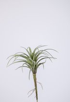 Kunsttak - Tillandsia - vetplant - cactus- topkwaliteit decoratie - 2 stuks - zijden tak - groen - 22 cm hoog