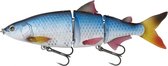 Dam Effzett natural whitefish HL 22cm 122g Roach