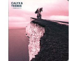 Calyx & Teebee - Fabriclive 76 Calyx & Teebee (CD)