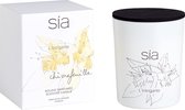 SIA geurkaars BOTANIQUE - D. 8,5 x H. 10 cm - Glas - Kamperfoeliegeur - Kleur: Oranje