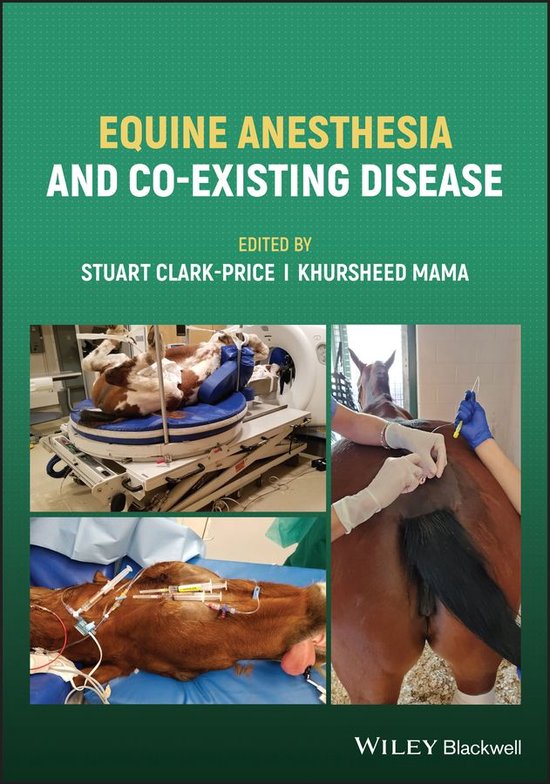 Equine Anesthesia and Co-Existing Disease - cover