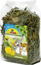 JR Farm Ruwe Knaagdiersnack - Paardenbloemen - 100 gram