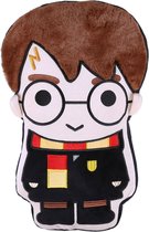 Zwart-bruin kussen 41x39 cm - HARRY POTTER