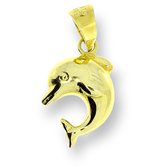 Gouden Hanger Dolfijn 14 karaats