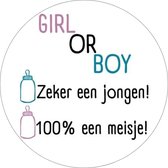 20 x Gender Reveal Babyshower Feest - Stickers Cadeaustickers Uitnodiging Jongen Of Meisje - Sluitsticker - Rond 40mm - Roze - Wit - Blauw - 20 stuks - Sticker Geboorte