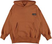 Molo - Hoodies voor kinderen - Moz - Bruin - Maat 116EU