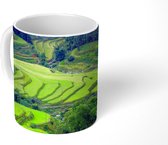 Mok - Rijst - Bomen - Groen - 350 ML - Beker - Uitdeelcadeautjes