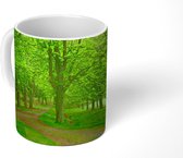 Mok - Pad door een groen bos in het Nationaal Park Kellerwald-Edersee - 350 ML - Beker - Uitdeelcadeautjes