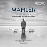 David Briggs & David John Pike - Mahler: Orchestral Songs (The Organ Transcriptions) (CD)