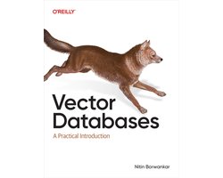 Vector Databases
