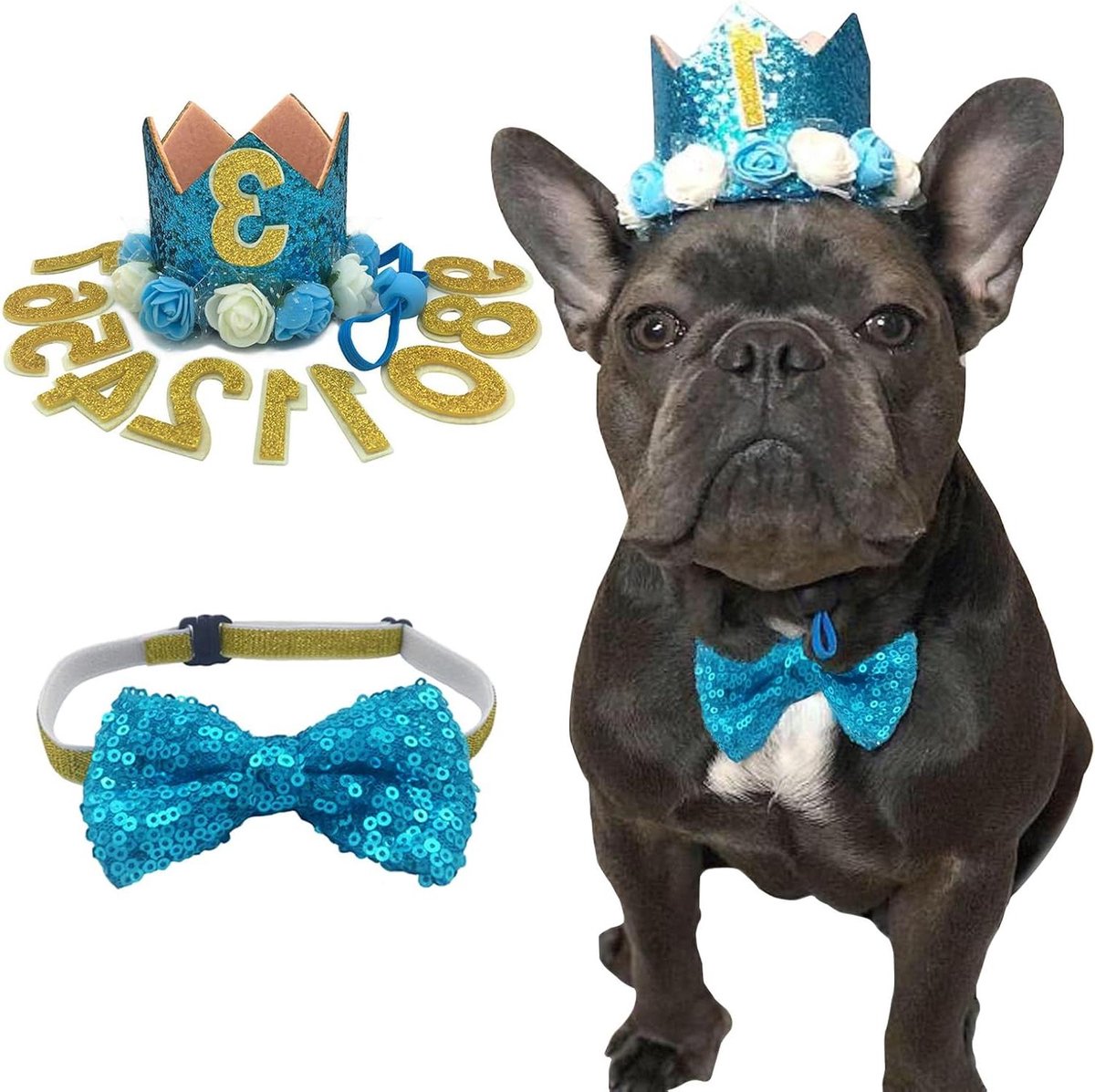 Huisdier Verjaardag Set - Hond Kat Accessoires - Feestelijke Viering - Herbruikbare Versieringen - 8x11cm Hoed - Blauw