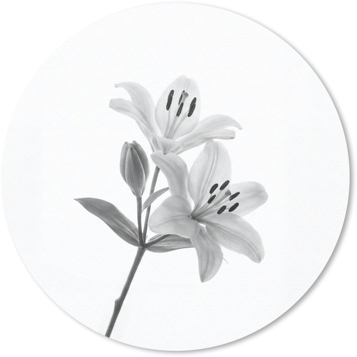 Muismat rond 30x30 cm - Mousepad Lelies - Elegant - Zwart - Wit - Ronde muismatten