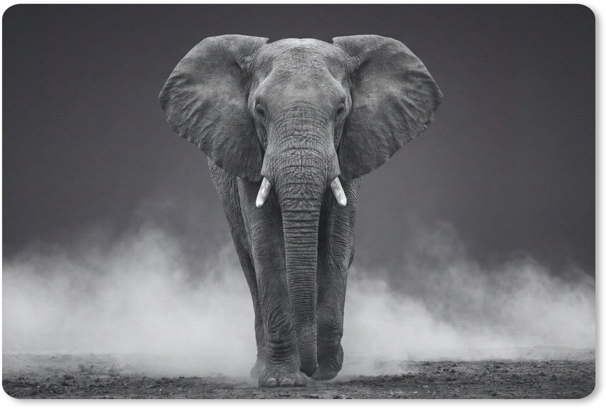 Muismat 13x8 cm - Mousepad Olifant - Zwart - Wit - Rook - Muismatten