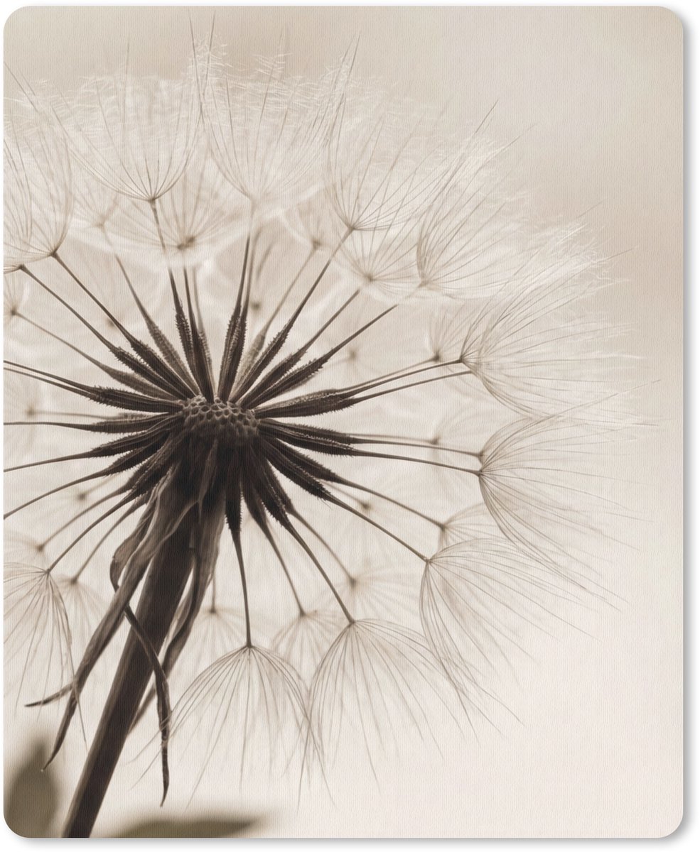 Muismat 12x16 cm - Mousepad Paardenbloem - Minimalistisch - Wit - Muismatten