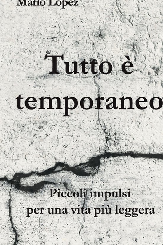 Tutto è temporaneo - cover