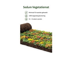 Sedum Vegetatiemat 10 m² – Kant-en-klaar Groendak Rol – Voorbegroeide Sedummatten 10–12 Soorten Sedum – Extensive Green Roof Vegetation Mat – Ready to Install Living Roof System – Sedum Roofing Roll voor Plat Dak & Groendak Systeem