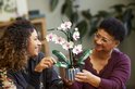 Deux femmes regardent une orchidée LEGO avec des fleurs blanches et des feuilles vertes dans un pot bleu.