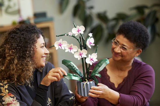 Deux femmes regardent une orchidée LEGO avec des fleurs blanches et des feuilles vertes dans un pot bleu.