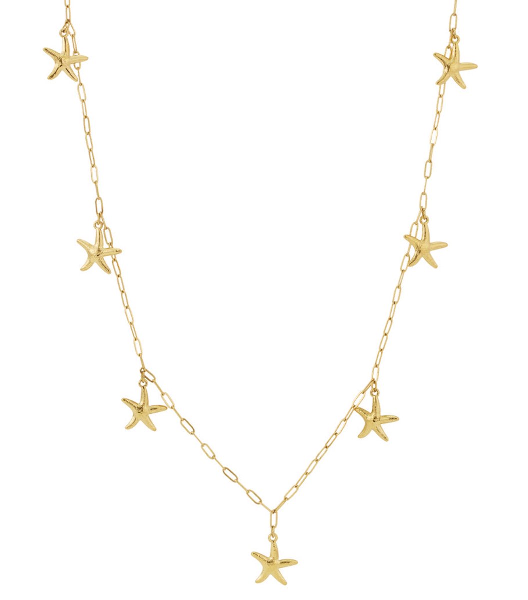 Ster lange ketting