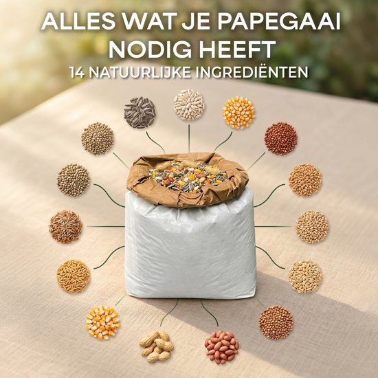 Centrale grote zak papegaaienvoer, omringd door 14 afbeeldingen van individuele zaden en ingrediënten. Text 'Alles wat je papegaai nodig heeft'.