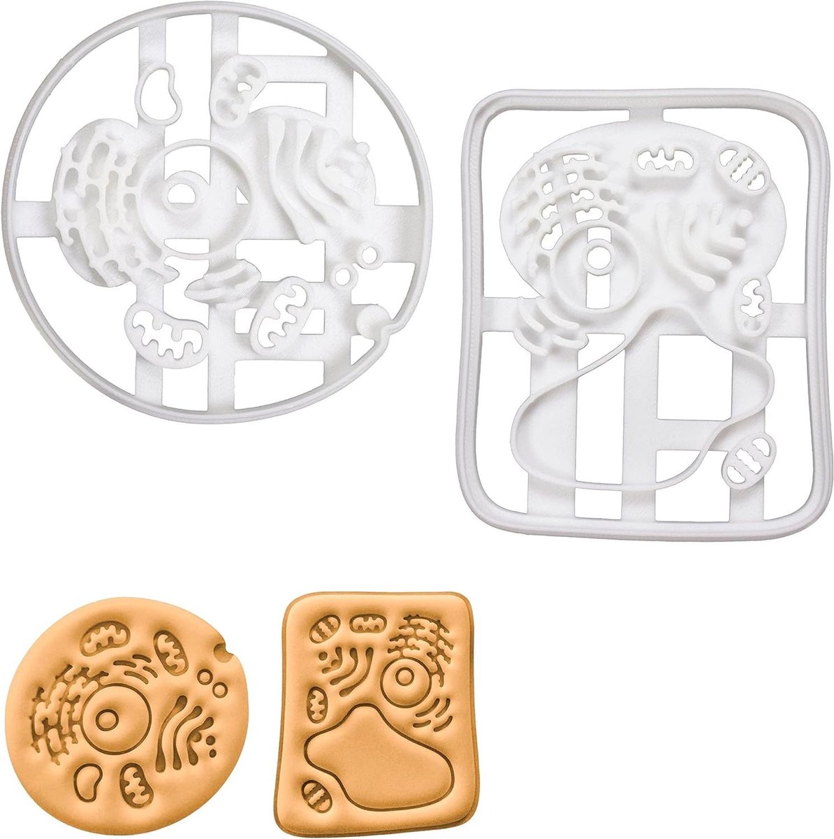 Cell Koekjesvormpjes - Cel Uitsnijders - Bakken Decoreren - 3D Geprint - 9.7cm x 9.5cm - Wit