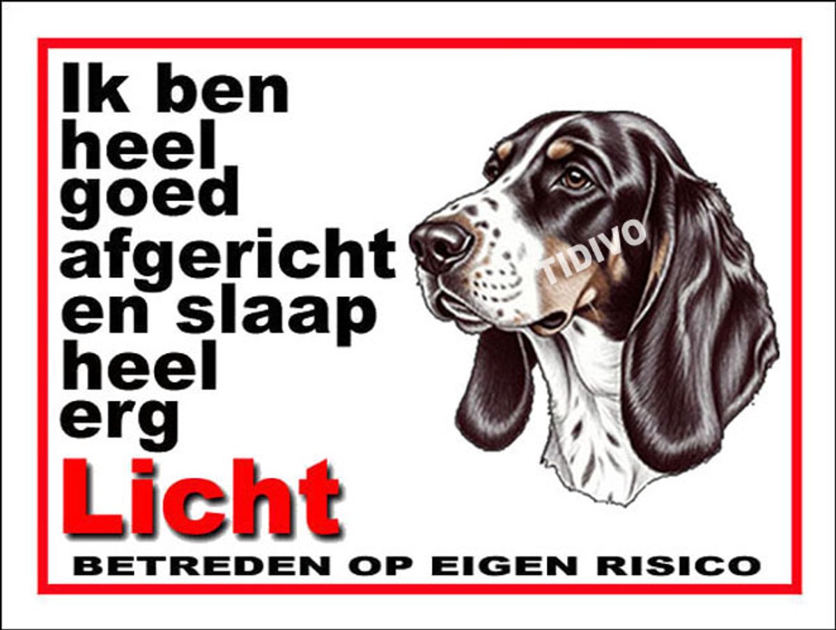 Berner Laufhund 4