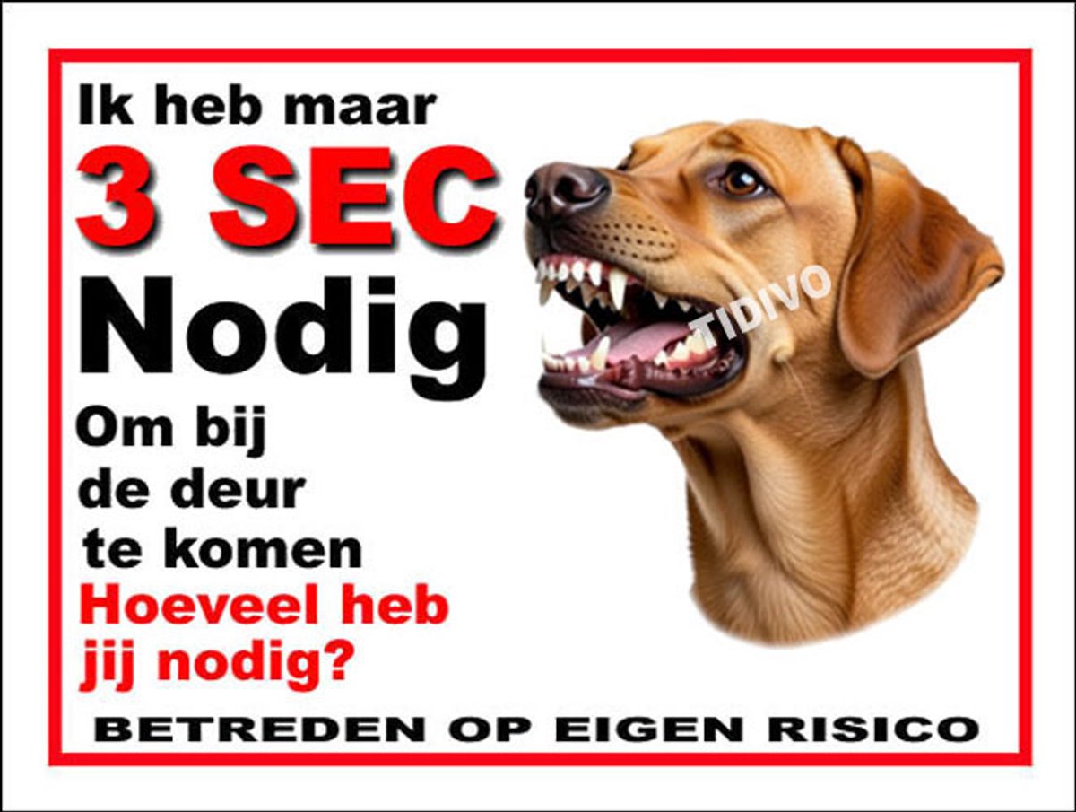 Broholmer 6
