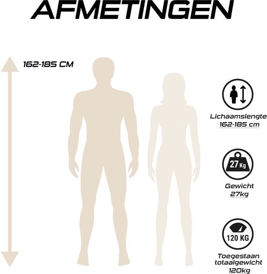 REX Commuter+ City Elektrische Fiets - Middenmotor 250W - Actieradius 100km - 28 Inch Banden - SHIMANO 7 Versnellingen-grijs van Merkloos — afbeelding 3