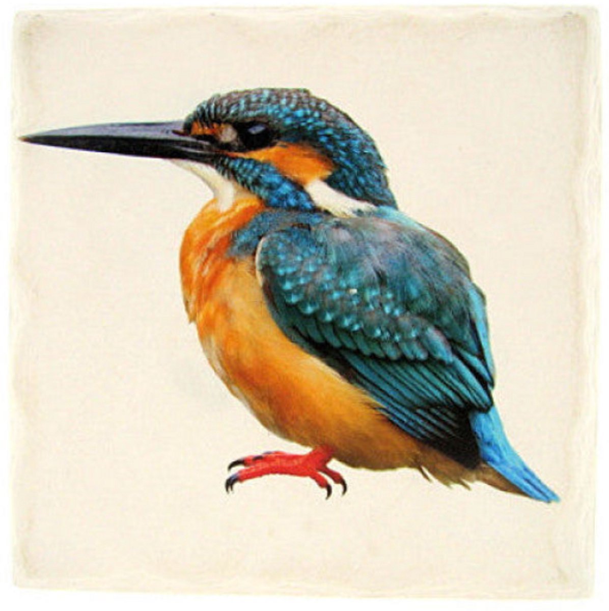 Tafelonderzetter IJsvogel – Vierkant 15 x 15 cm – Steen – Onderzetter Vogel