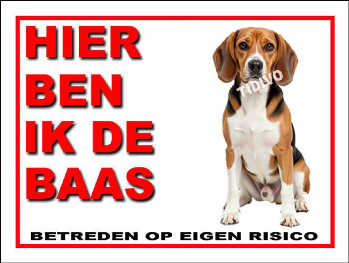 Beagle Harrier 2