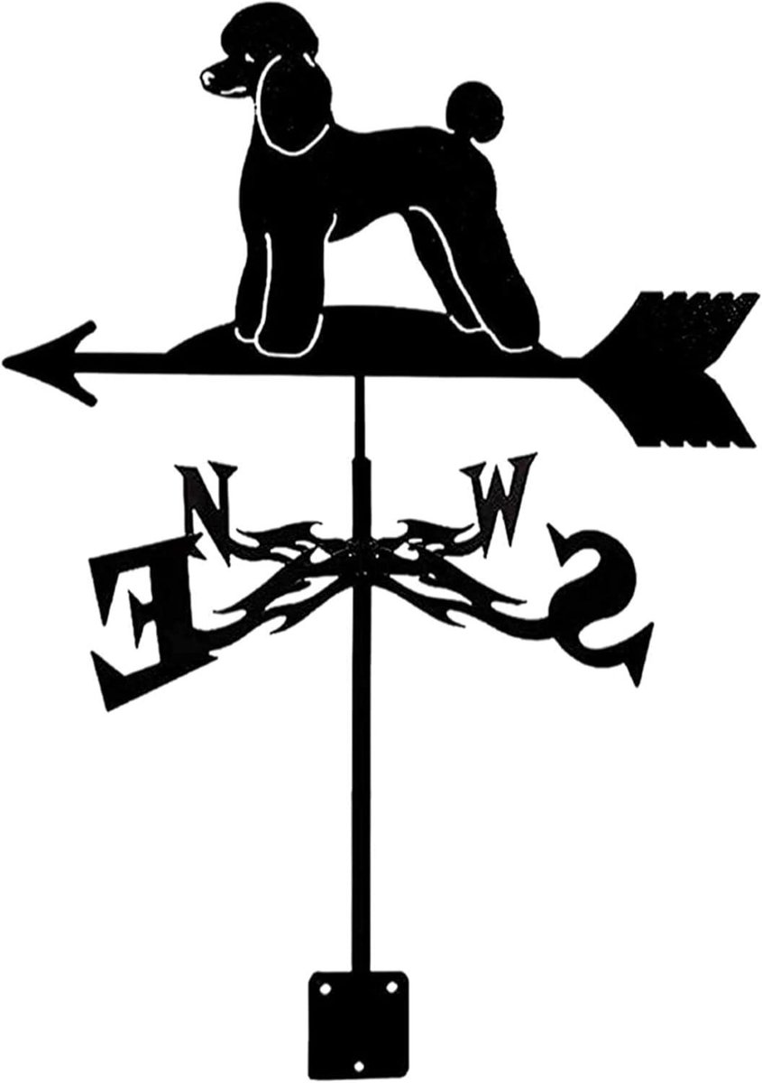 Weathervane Tuin - Windwijzer Metaal - Decoratie Buiten - Roestbestendig Metaal - 55 x 35 cm - Zwart