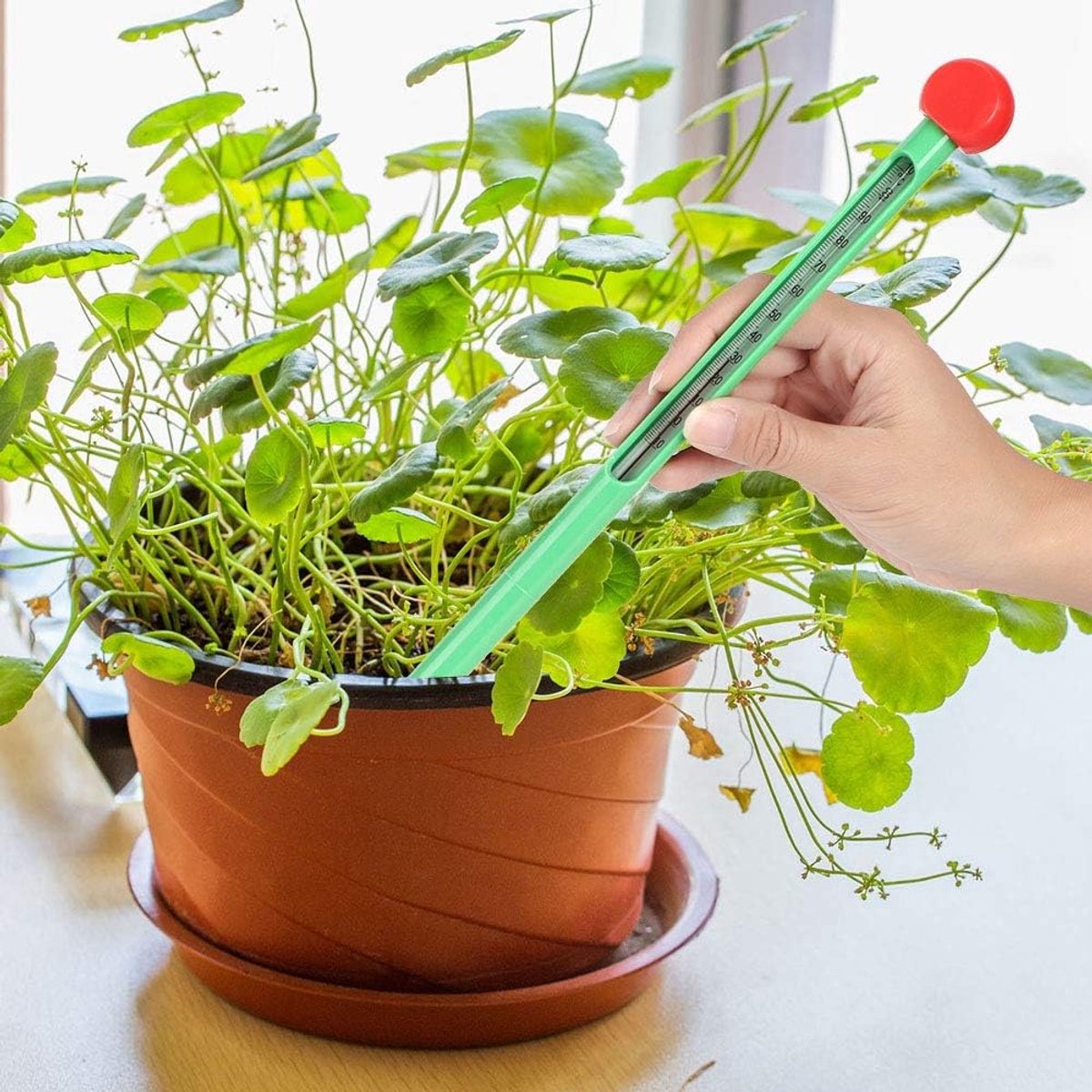 Bodemtemperatuursensor - Bodemtester Digitaal - Planten Verzorgen - Waterdicht Ontwerp - 32 cm - Zilver