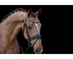 HB Hoofdstel It is So Special Zwart-Zwart - Cob | Rood | Hoofdstel paard