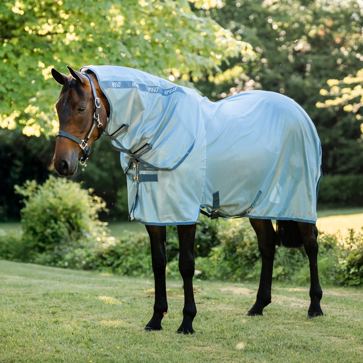 Vliegendeken voor paarden van Horseware Amigo integrated
