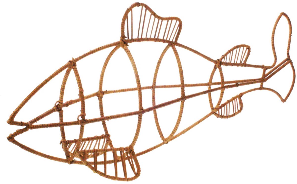 Vis rotan 65x11x26cm