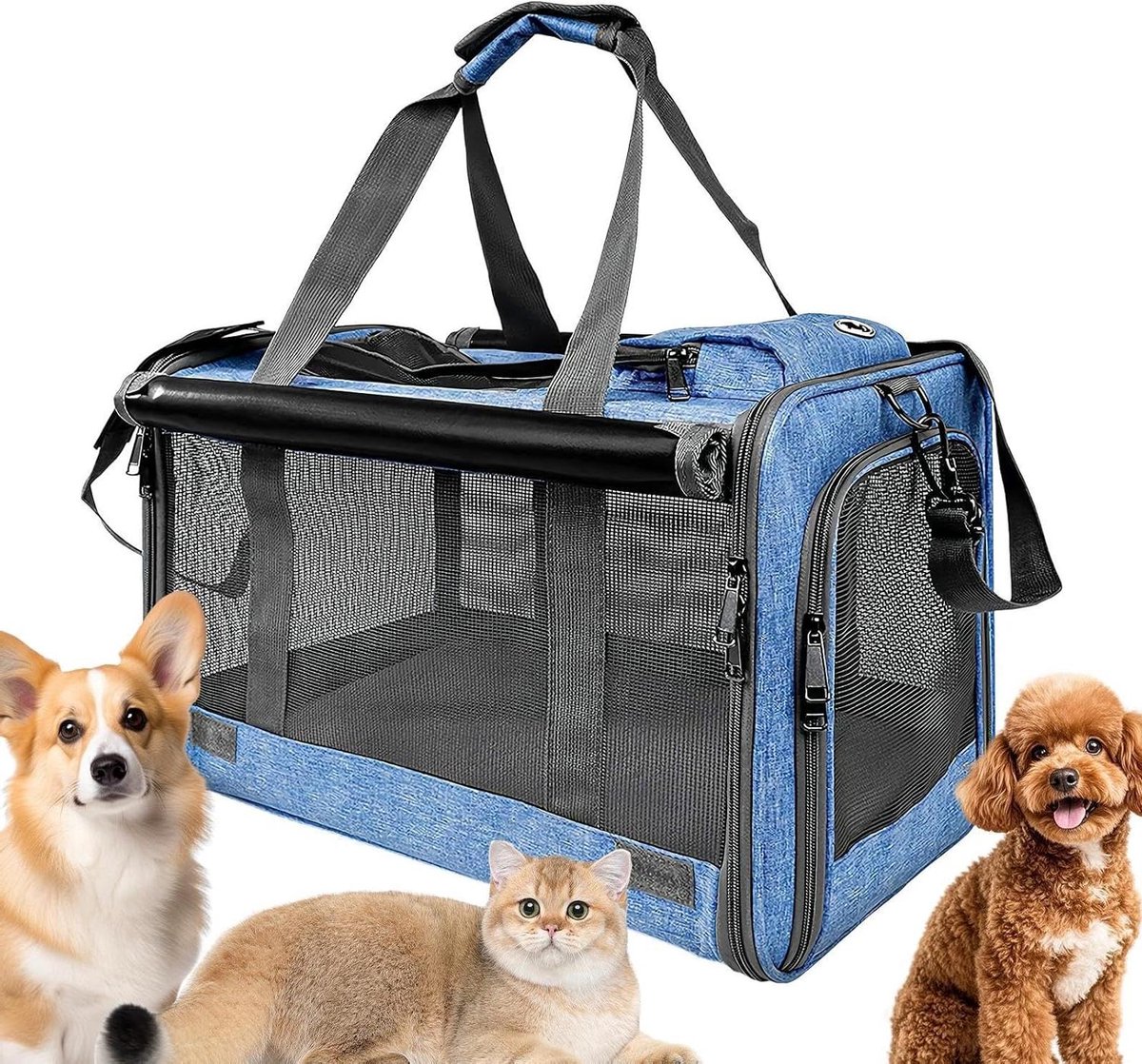 Kleine kattendrager - Reis draagtas - Comfortabel reizen - Ademend mesh ontwerp - 46 x 30 x 30 cm - Blauw