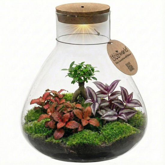 vdvelde.com - Mini planten terrarium - Gesloten ecosysteem zelfvoorzienend - Onderhoudsvriendelijk mini terrarium in glas - Ø11 cm, DIY set