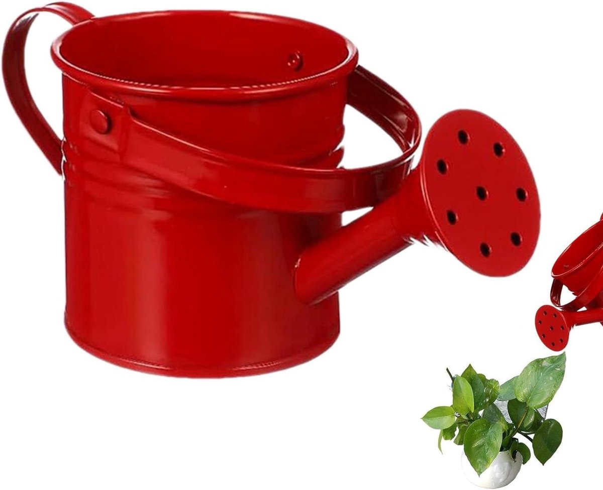 Gieter Buiten - Bloemcontainer Tuinpot - Planten Verzorgen - Gegalvaniseerd Ijzer - 8 x 8 x 8 cm - Rood