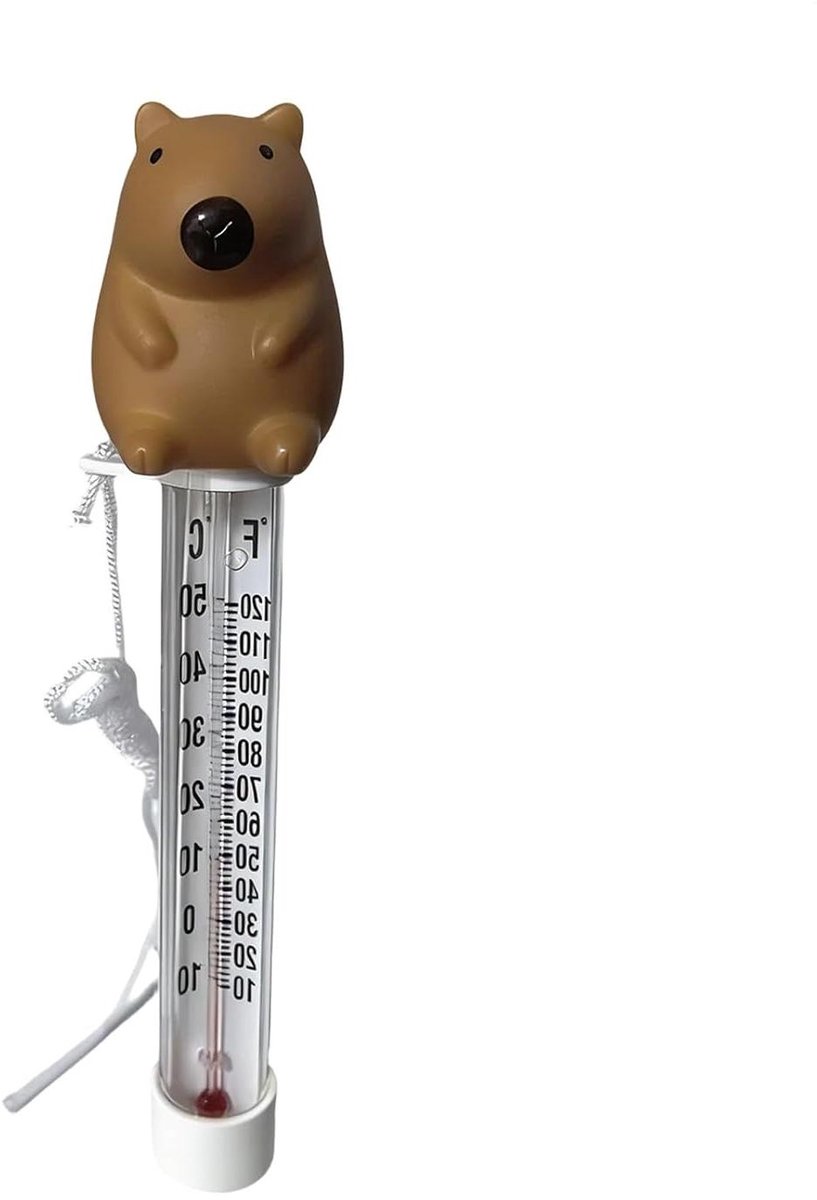 Drijvende Zwembad Thermometer - 20cm Gemakkelijk te lezen Design, Temperatuur Monitor met String | Water Bathtub Shower Aquarium Fishing Lake Spa Swimming Accurate Gauge Accessory