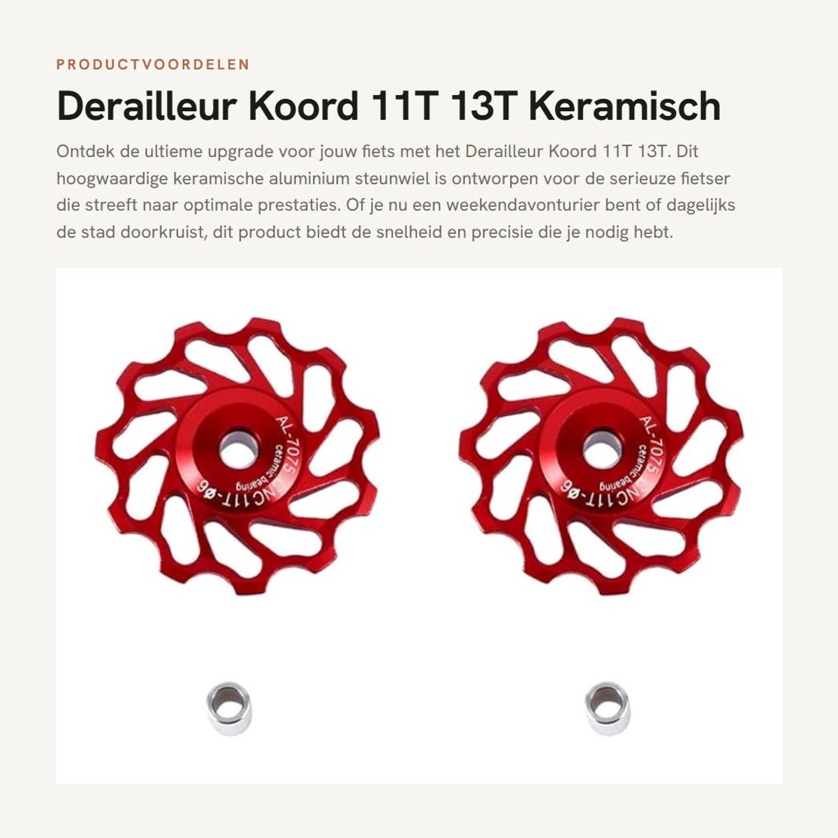 Dailygoods- Derailleurkooi 11T/13T - Aluminium/keramisch - Antiroest - Achterste steunwiel - Snelheidsaanpassing - Duurzaam materiaal - Fietsderailleur