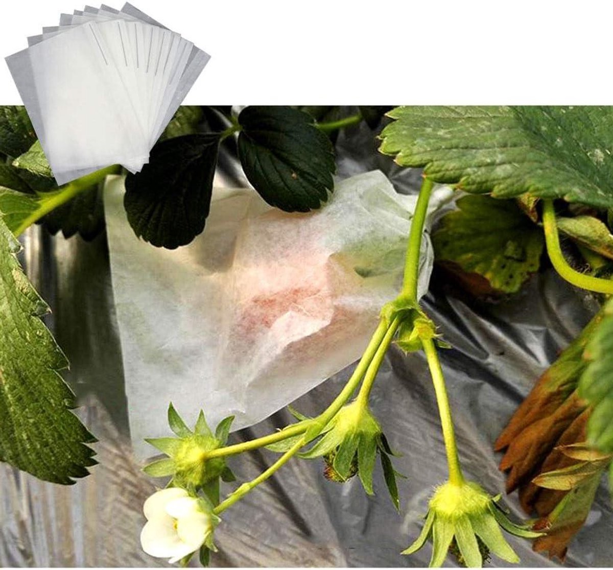 Fruit Beschermzakken - Kweekhoezen - Bescherming Groente Fruit - Insectenwerend Ademend - 50 stuks - Groen
