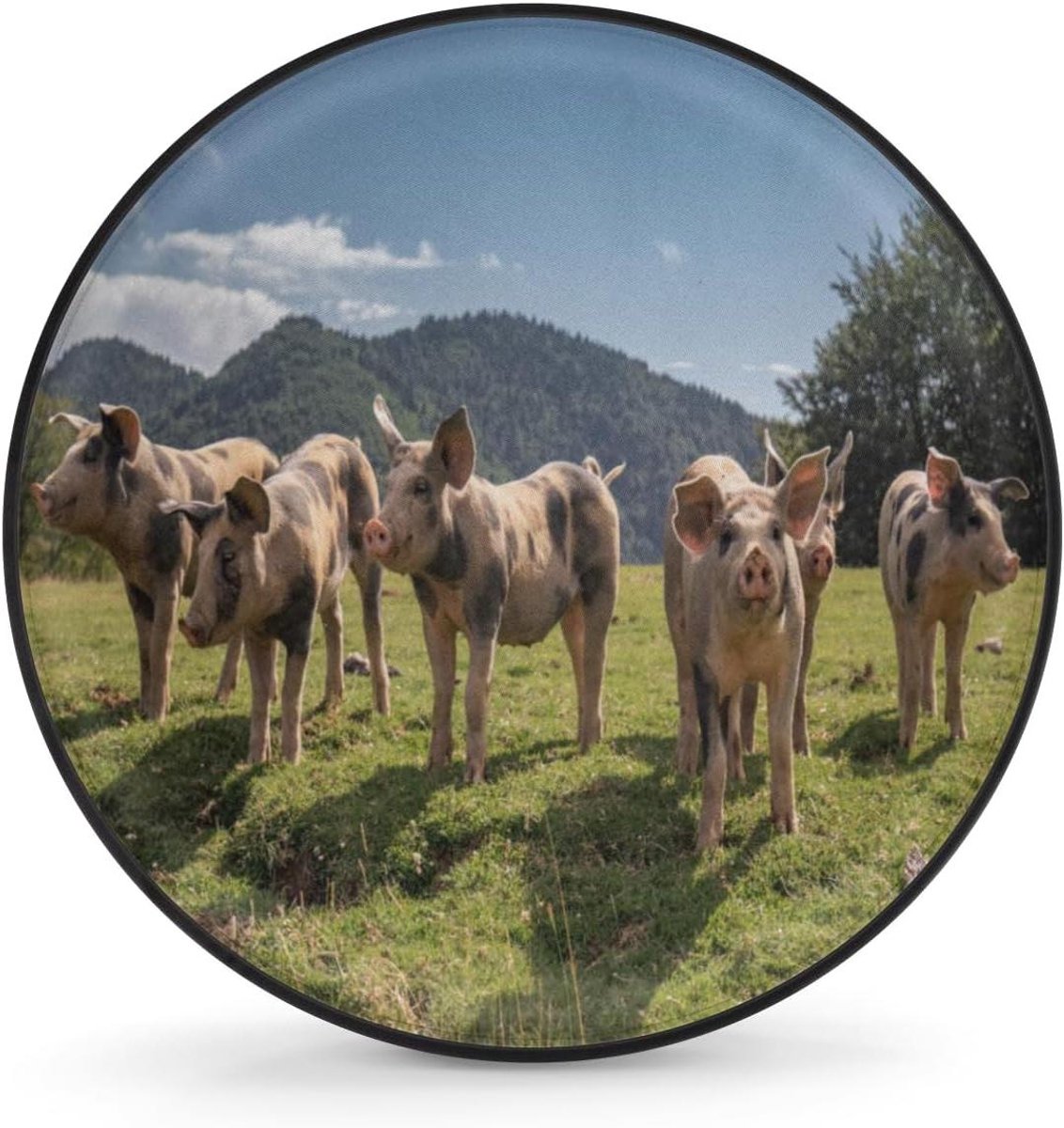 Reservewielhoes - Bandenhoes - Banden Beschermen - Waterdicht Polyester - 14 Inch - Gekleurd