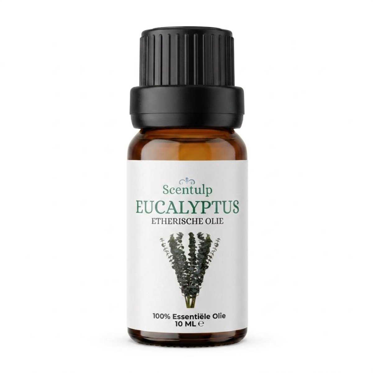 Scentulp - Eucalyptus Olie Etherische Olie 10 ml – Biologisch & Natuurzuiver – Eucalyptus globulus – Fris, Helder & Verkwikkend