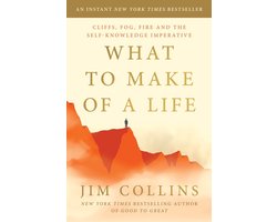 What to Make of a Life