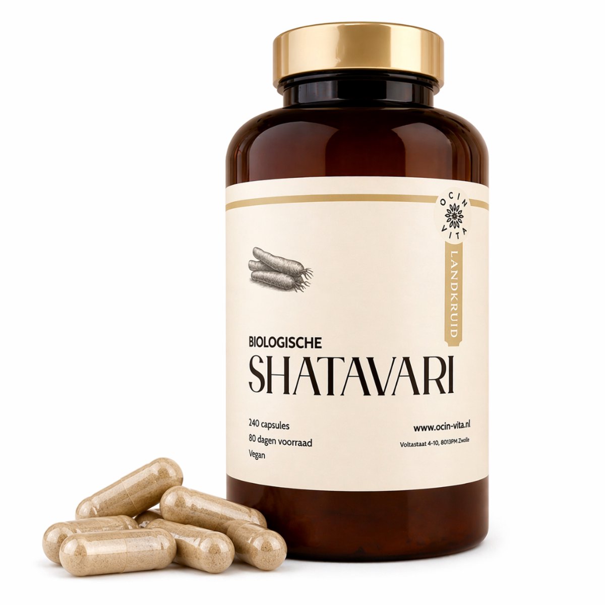 Shatavari Capsules 240 stuks – 100% Puur Wortelpoeder – Ayurvedisch Kruid – Vegan Supplement – Ocin Vita