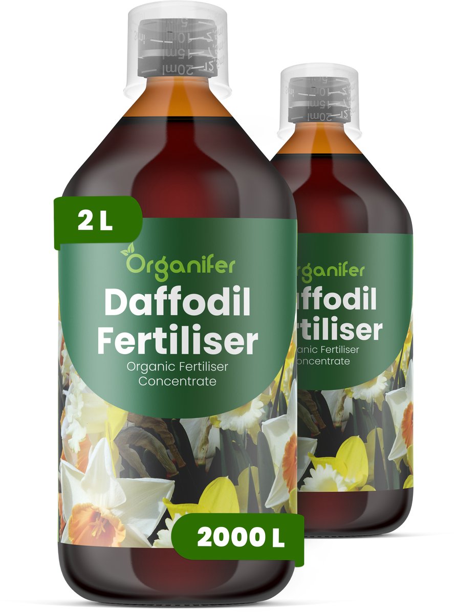 Vloeibare Meststof Voor Narcis 2X1 L Voor 2000 L - Npk 3-4-3 - Krachtige Groei - Bevordert Sterke Bolontwikkeling - Vergroot Bloemgrootte - Versterkt Wortels - Bevordert Langdurige Bloei - Verhoogt Weerbaarheid - Organifer